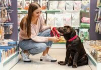 Pet Shop em Ibiúna